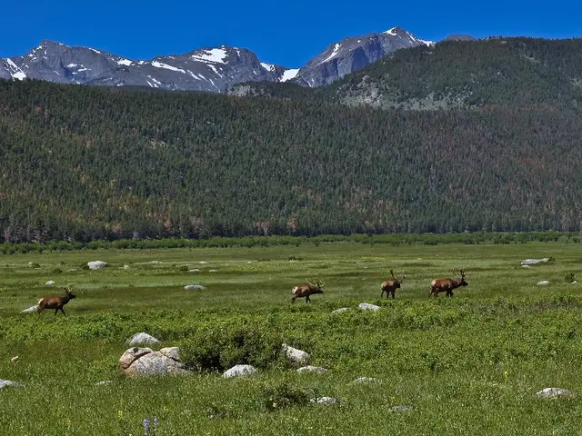 Martian explorer discovers signs of old life on Mars. Here's what this revelation entails