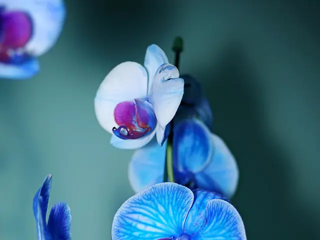 Uncertain benefits Pennsylvania may reap from federal $50 billion rural healthcare initiative