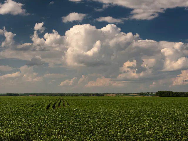 Research conducted at NTU Singapore reveals that vertical greenery serves as an effective stress...