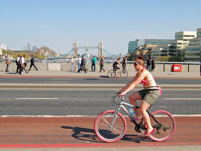 Endometriosis Examination: Origins, Consequences, and Remedies