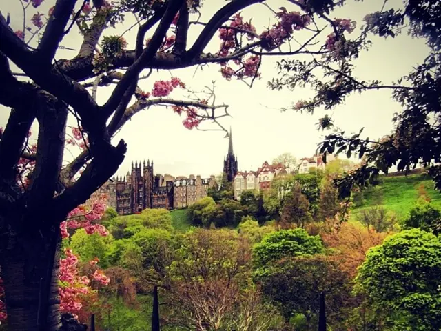 Minimize Heat Absorption and Peak Temperature Spikes in Buildings Using Highly Reflective Roofing,...