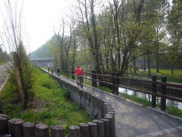As we can see in the image there is grass, trees, few people riding bicycles, water and at the top...