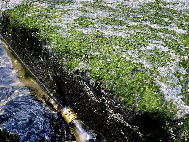 In this image, I can see a glass bottle and there is water. I can see algae on the rocks.
