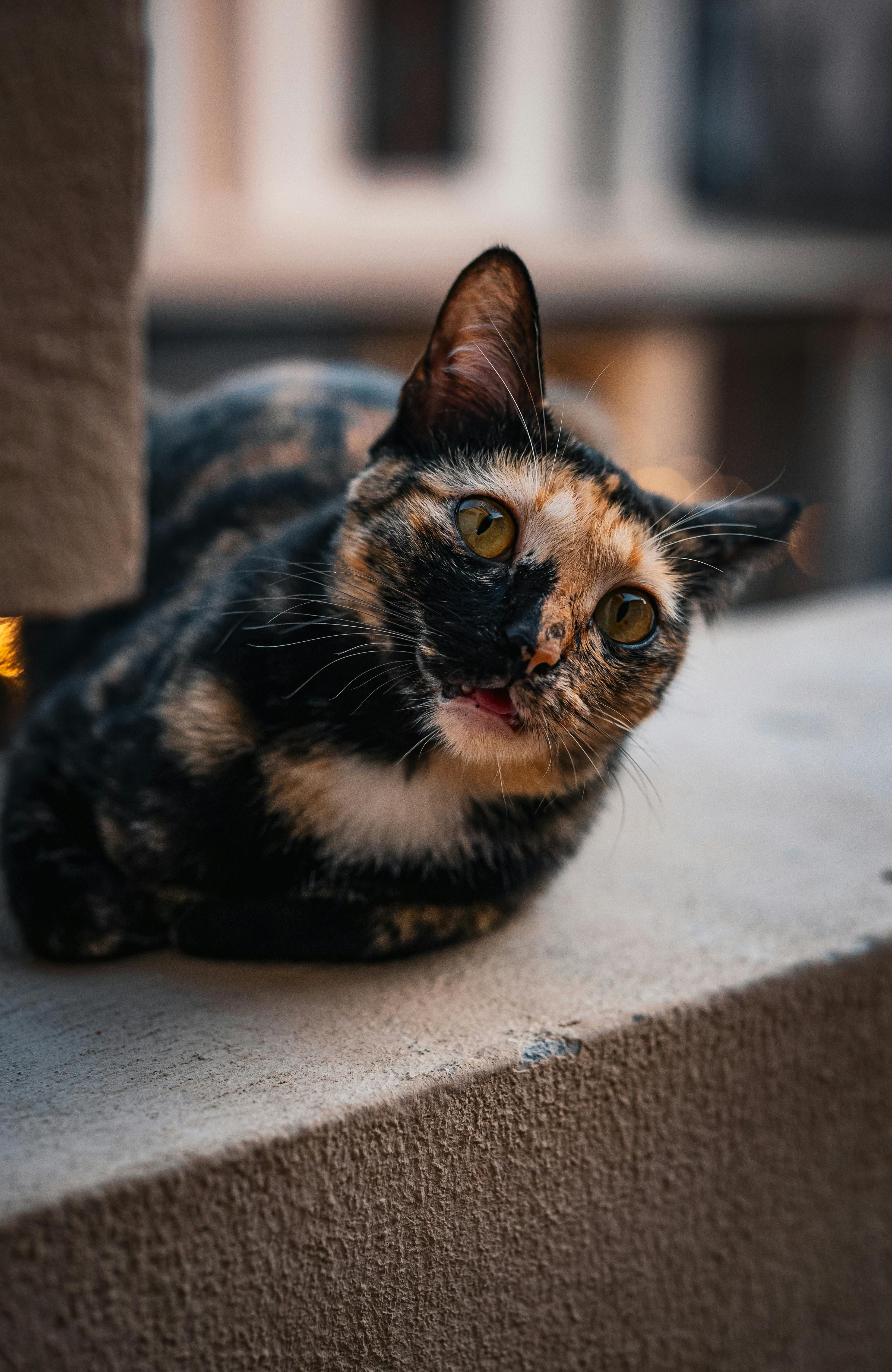 Repeated review of the study prompted uncertainty in Karl-Heinz Wiesemann, Bishop of Speyer.