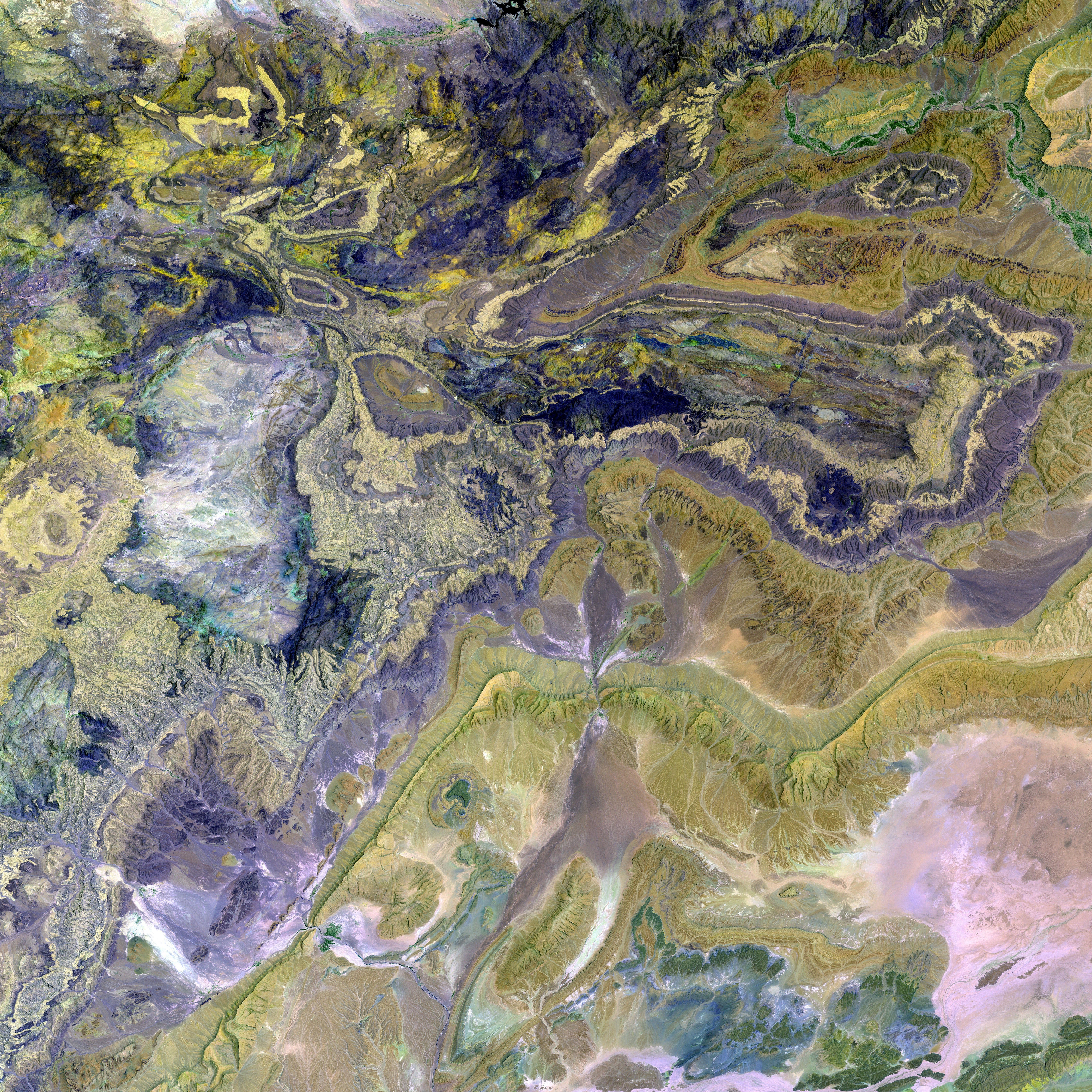 Aid deliveries successfully reach Palestinian residents in Gaza for the first time post-blockade...