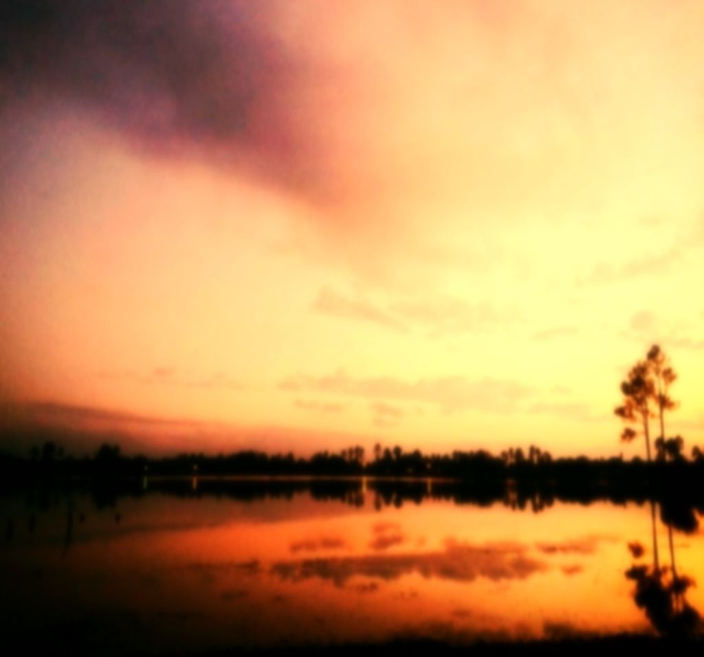 Maksimova's Image Documented Incident: Tatiana Maksimova's photography captures a dramatic scene.