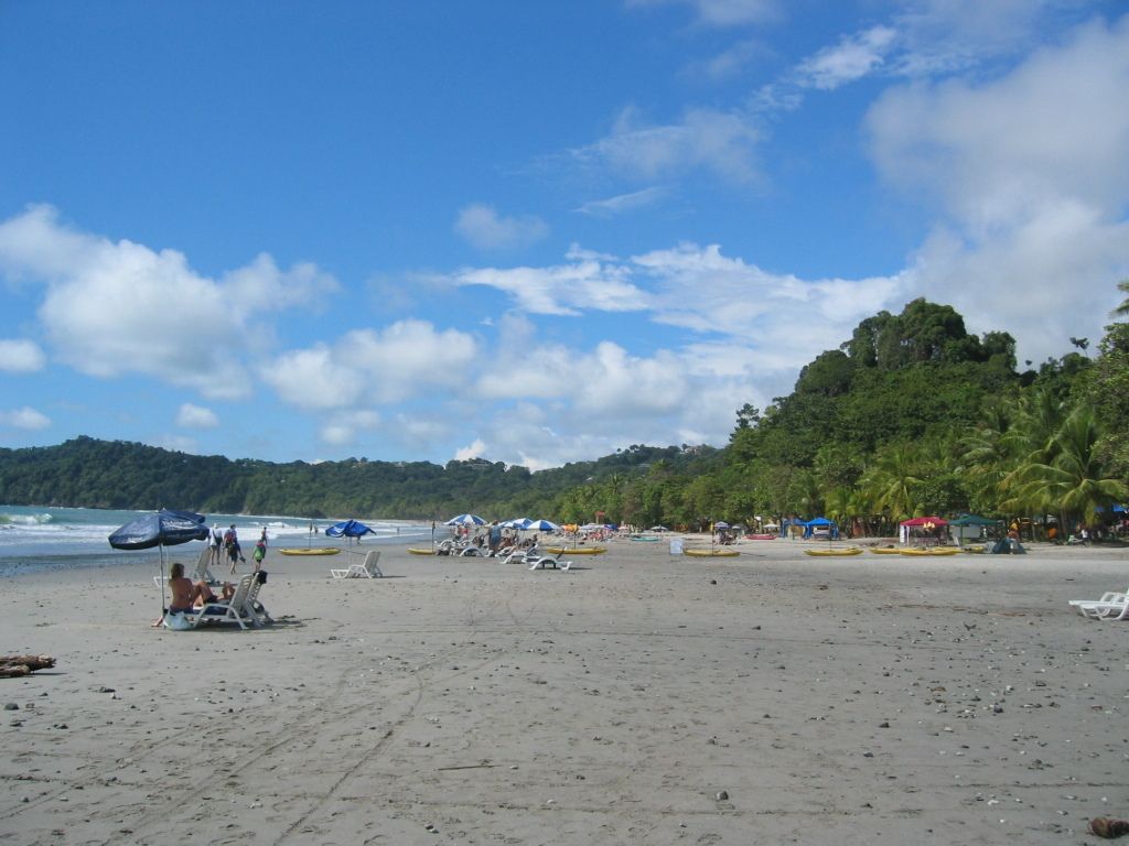 Gila Monsters, famously known as Heloderma, serve as homeopathic solutions, predominantly targeting...