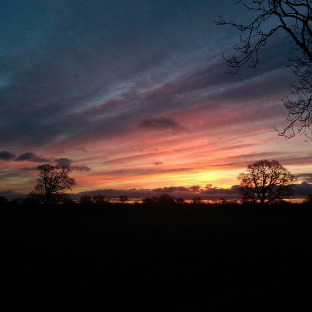Regular yoga practice may not require you to perform headstands, yet it significantly improves...