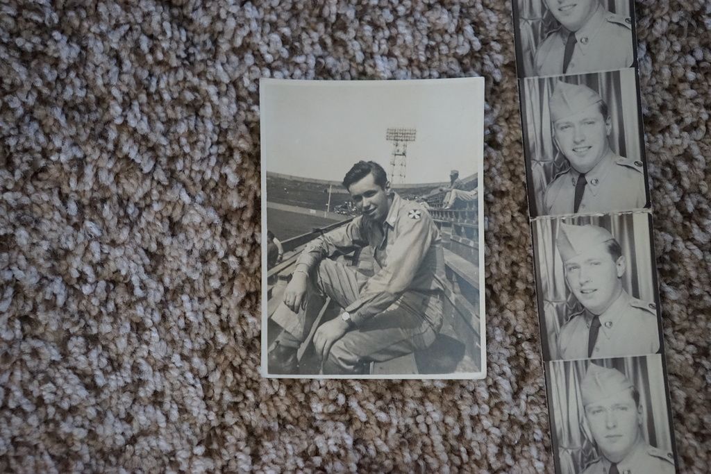 Unveil the hidden treasure trove of soil nutrients. Explore the complex bond between plants and...