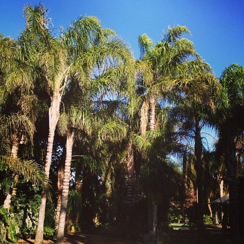 No conclusive proof found that workplace transmission of Covid-19 virus occurred, as per State...